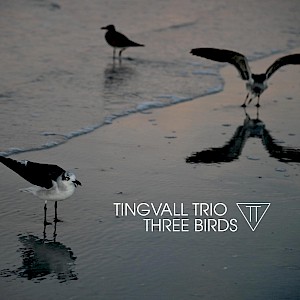 THREE BIRDS in neuer Version