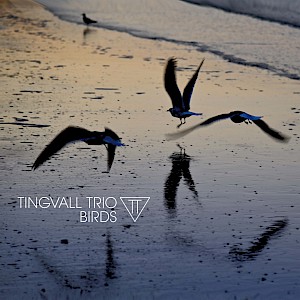 New album with Tingvall Trio